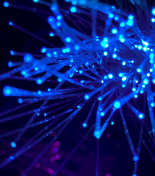 http://nanolabs.co.za/wp2/wp-content/uploads/2021/03/lis_fibre.png